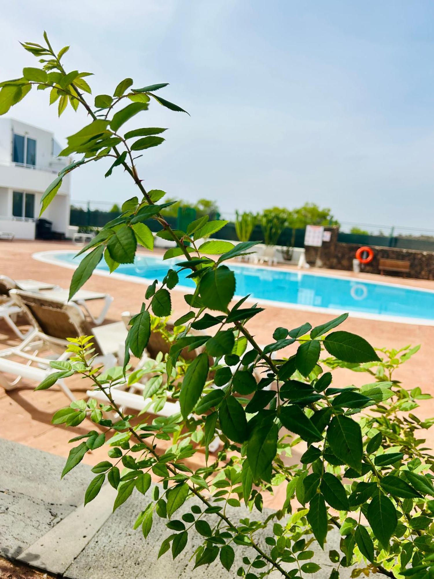 Casa Alexia Appartement Teguise  Buitenkant foto
